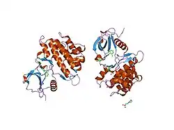1m52: Crystal Structure of the c-Abl Kinase domain in complex with PD173955
