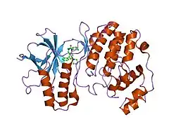 1m7q: Crystal structure of p38 MAP kinase in complex with a dihydroquinazolinone inhibitor