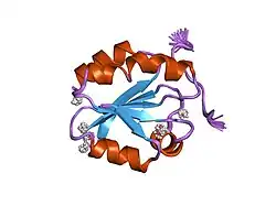 1mdk: HIGH RESOLUTION SOLUTION NMR STRUCTURE OF MIXED DISULFIDE INTERMEDIATE BETWEEN HUMAN THIOREDOXIN (C35A, C62A, C69A, C73A) MUTANT AND A 13 RESIDUE PEPTIDE COMPRISING ITS TARGET SITE IN HUMAN NFKB (RESIDUES 56-68 OF THE P50 SUBUNIT OF NFKB)
