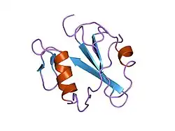 1mil: TRANSFORMING PROTEIN