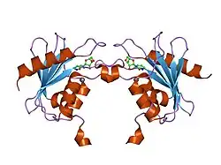1mq0: Crystal Structure of Human Cytidine Deaminase