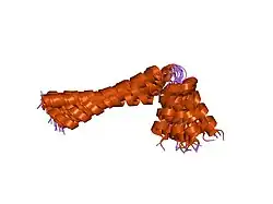 1n7l: Solution NMR structure of phospholamban in detergent micelles