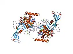 1nb8: Structure of the catalytic domain of USP7 (HAUSP)