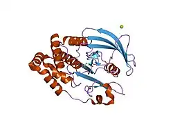 1oev: OXIDATION STATE OF PROTEIN TYROSINE PHOSPHATASE 1B
