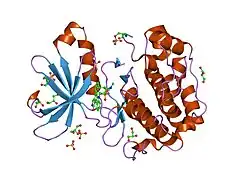 1okz: STRUCTURE OF HUMAN PDK1 KINASE DOMAIN IN COMPLEX WITH UCN-01