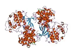 1ol1: CYCLIN A BINDING GROOVE INHIBITOR H-CIT-CIT-LEU-ILE-(P-F-PHE)-NH2