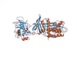 1oph: NON-COVALENT COMPLEX BETWEEN ALPHA-1-PI-PITTSBURGH AND S195A TRYPSIN