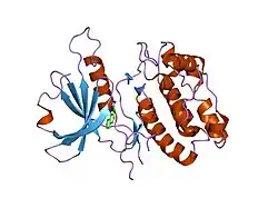 1p4f: DEATH ASSOCIATED PROTEIN KINASE CATALYTIC DOMAIN WITH BOUND INHIBITOR FRAGMENT