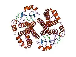1pgt: CRYSTAL STRUCTURE OF HUMAN GLUTATHIONE S-TRANSFERASE P1-1[V104] COMPLEXED WITH S-HEXYLGLUTATHIONE