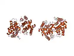 1py1: Complex of GGA1-VHS domain and beta-secretase C-terminal phosphopeptide