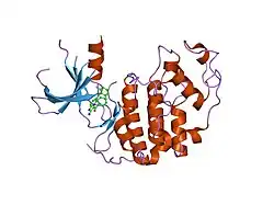 1pye: Crystal structure of CDK2 with inhibitor