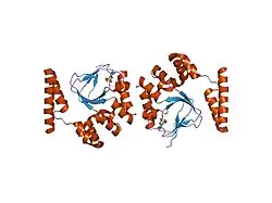 1q3e: HCN2J 443-645 in the presence of cGMP