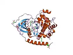 1q8u: The Catalytic Subunit of cAMP-dependent Protein Kinase in Complex with Rho-kinase Inhibitor H-1152P
