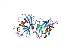 1qpl: FK506 BINDING PROTEIN (12 KDA, HUMAN) COMPLEX WITH L-707,587