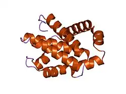 1r2h: Human Bcl-XL containing an Ala to Leu mutation at position 142