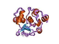1r36: NMR-based structure of autoinhibited murine Ets-1 deltaN301
