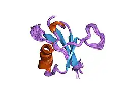 1rfa: NMR SOLUTION STRUCTURE OF THE RAS-BINDING DOMAIN OF C-RAF-1