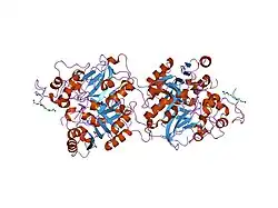 1rff: Crystal structure of human Tyrosyl-DNA Phosphodiesterase complexed with vanadate, octapeptide KLNYYDPR, and tetranucleotide AGTT.