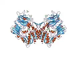 1rwq: Human Dipeptidyl peptidase IV in complex with 5-aminomethyl-6-(2,4-dichloro-phenyl)-2-(3,5-dimethoxy-phenyl)-pyrimidin-4-ylamine