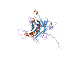 1s31: Crystal Structure Analysis of the human Tub protein (isoform a) spanning residues 289 through 561