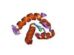 1sw8: Solution structure of the N-terminal domain of Human N60D calmodulin refined with paramagnetism based strategy