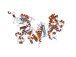 1t94: Crystal structure of the catalytic core of human DNA polymerase kappa