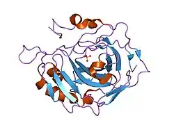 1t9n: Effect of Shuttle Location and pH Environment on H+ Transfer in Human Carbonic Anhydrase II