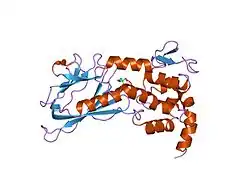 1tdh: Crystal structure of human endonuclease VIII-like 1 (NEIL1)