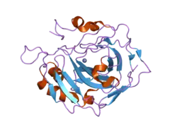 1thk: Effect of Shuttle Location and pH Environment on H+ Transfer in Human Carbonic Anhydrase II
