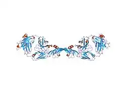 1tzh: Crystal Structure of the Fab YADS1 Complexed with h-VEGF