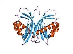 1u5o: Structure of the D23A mutant of the nuclear transport carrier NTF2
