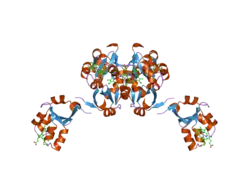 1u9m: Crystal structure of F58W mutant of cytochrome b5