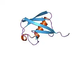 1ubq: STRUCTURE OF UBIQUITIN REFINED AT 1.8 ANGSTROMS RESOLUTION