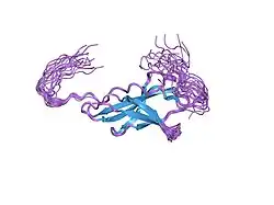 1uey: Solution Structure of The First Fibronectin Type III Domain of Human KIAA0343 protein