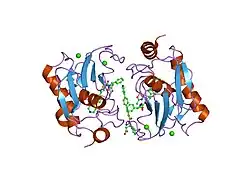 1utz: CRYSTAL STRUCTURE OF MMP-12 COMPLEXED TO (2R)-3-({[4-[(PYRI DIN-4-YL)PHENYL]-THIEN-2-YL}CARBOXAMIDO)(PHENYL)PROPANOIC ACID