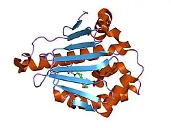 1uyd: HUMAN HSP90-ALPHA WITH 9-BUTYL-8-(2-CHLORO-3,4,5-TRIMETHOXY-BENZYL)-9H-PURIN-6-YLAMINE