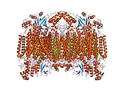 1v54: Bovine heart cytochrome c oxidase at the fully oxidized state
