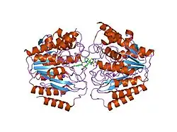 1w22: CRYSTAL STRUCTURE OF INHIBITED HUMAN HDAC8