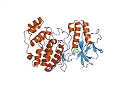 1w84: P38 kinase crystal structure in complex with small molecule inhibitor