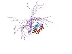1wey: Solution structure of RRM domain in calcipressin 1