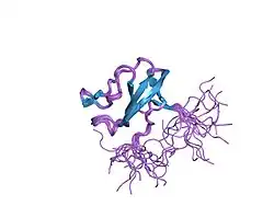 1whm: Solution structure of the 2nd CAP-Gly domain in human cylindromatosis tumor suppressor CYLD