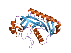 1woj: Crystal structure of human phosphodiesterase