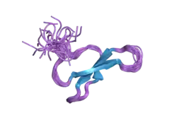 1wr3: Solution structure of the first WW domain of Nedd4-2