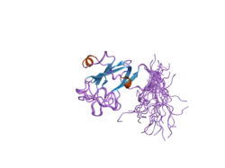 1wwy: Solution structure of the DUF1000 domain of a thioredoxin-like protein 1