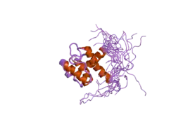 1wyq: Solution structure of the second CH domain of human spectrin beta chain, brain 2
