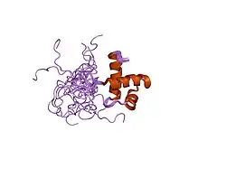 1xg1: Solution structure of Myb-domain of human TRF2