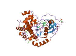 1xh9: Crystal Structures of Protein Kinase B Selective Inhibitors in Complex with Protein Kinase A and Mutants