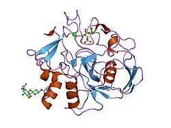 1y1g: human formylglycine generating enzyme, double sulfonic acid form