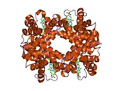 1y5j: T-To-T(High) quaternary transitions in human hemoglobin: betaH97A deoxy low-salt (1 test set)
