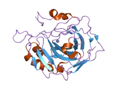 1yo2: Proton Transfer from His200 in Human Carbonic Anhydrase II